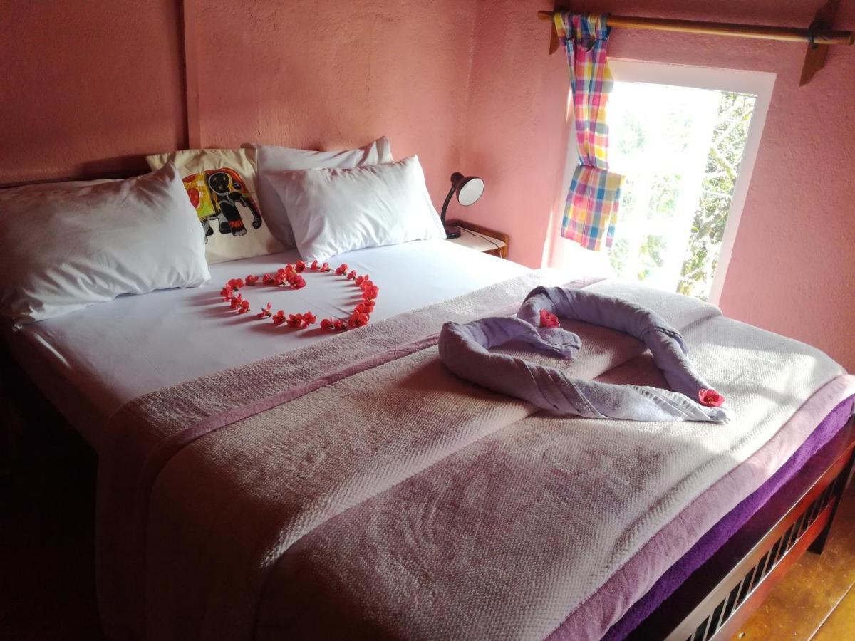 Sincere Wilderness Home Stay 努沃勒埃利耶 外观 照片