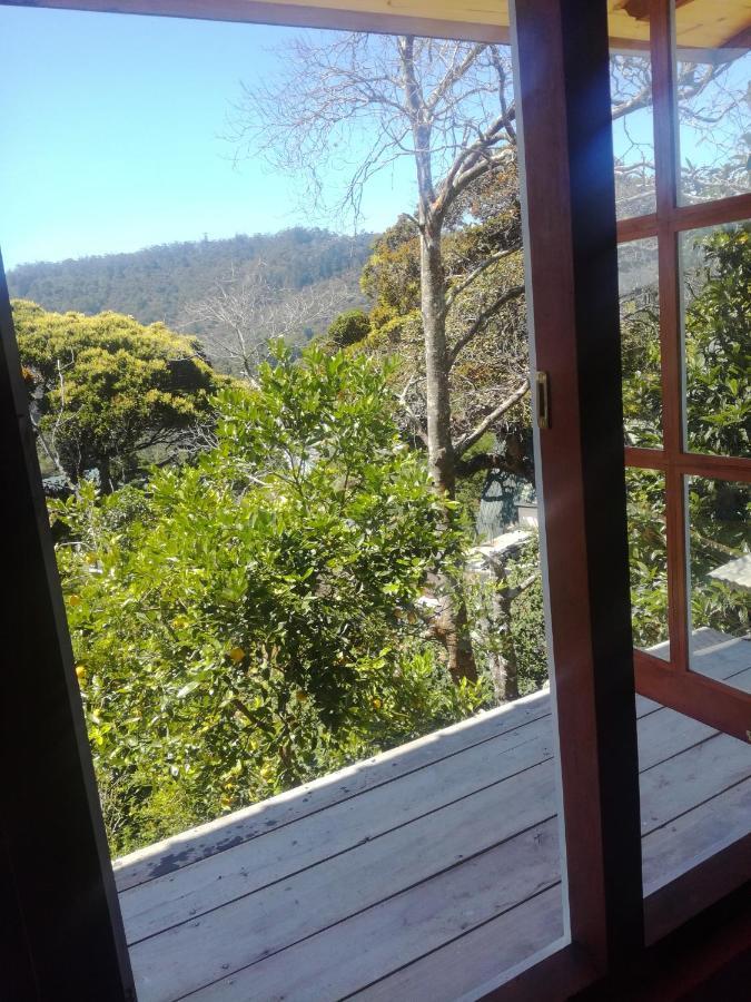 Sincere Wilderness Home Stay 努沃勒埃利耶 外观 照片