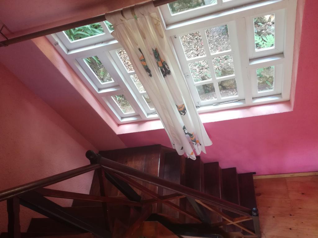 Sincere Wilderness Home Stay 努沃勒埃利耶 外观 照片